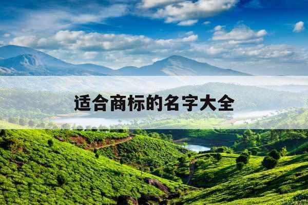 适合商标的名字大全