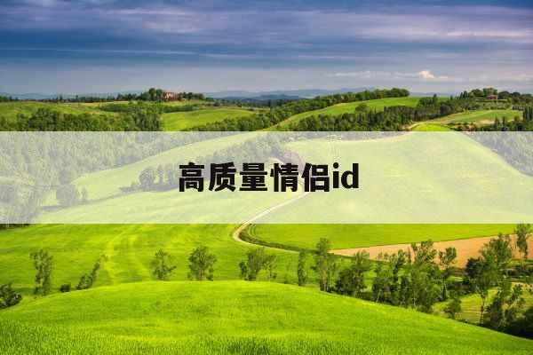 高质量情侣id