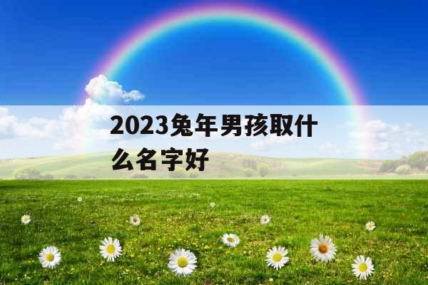 2023兔年男孩取什么名字好