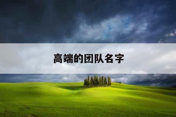 高端的团队名字