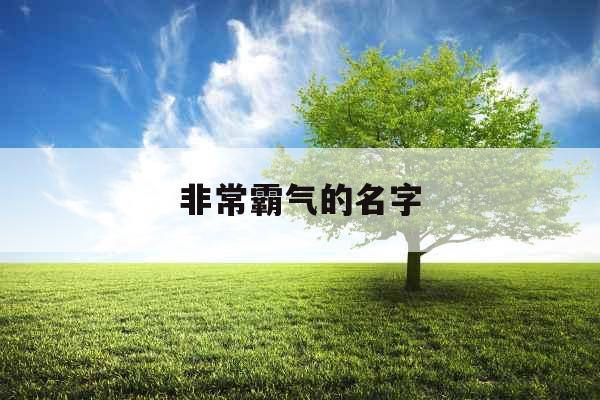 非常霸气的名字