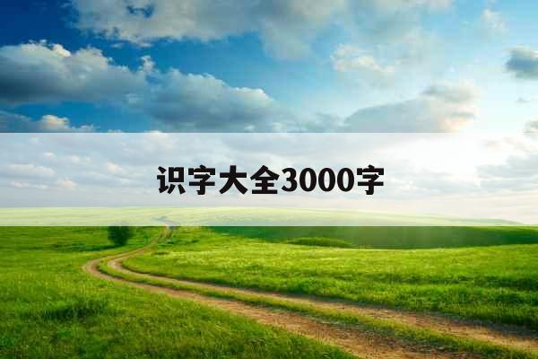 识字大全3000字