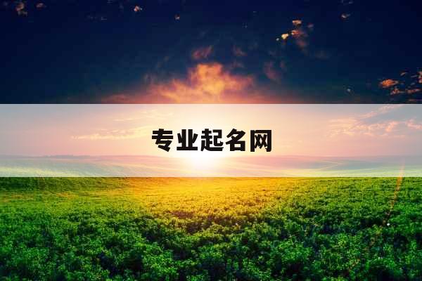 专业起名网