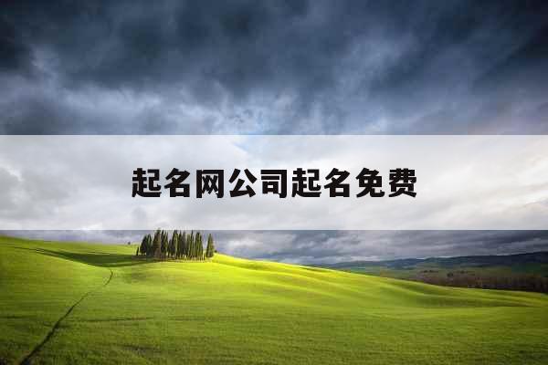 起名网公司起名免费