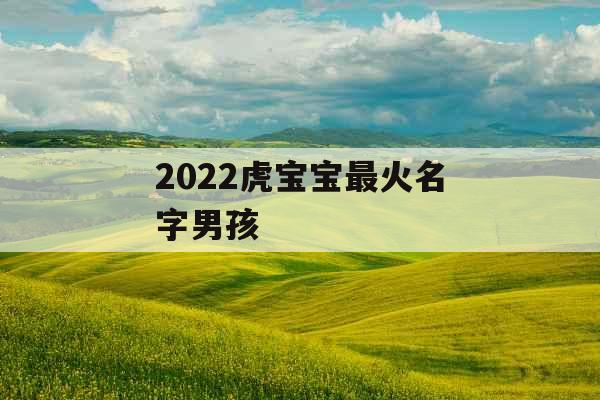 2022虎宝宝最火名字男孩