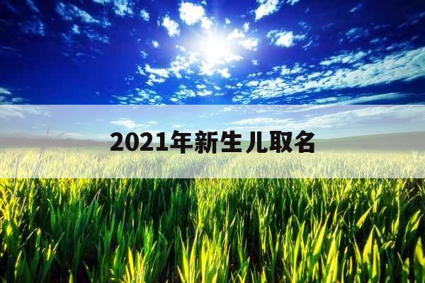 2021年新生儿取名