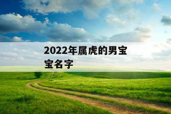 2022年属虎的男宝宝名字