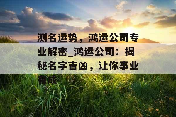 测名运势，鸿运公司专业解密_鸿运公司：揭秘名字吉凶，让你事业有成