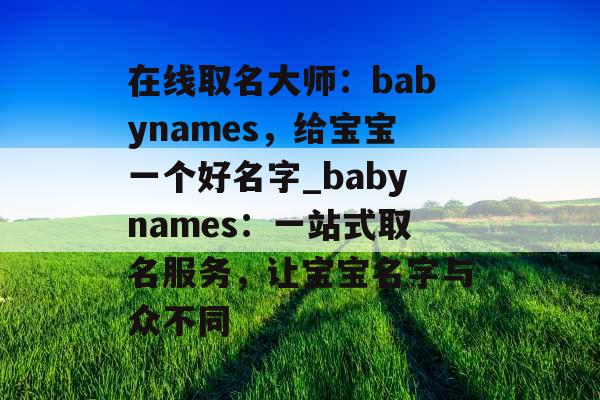 在线取名大师：babynames，给宝宝一个好名字_babynames：一站式取名服务，让宝宝名字与众不同