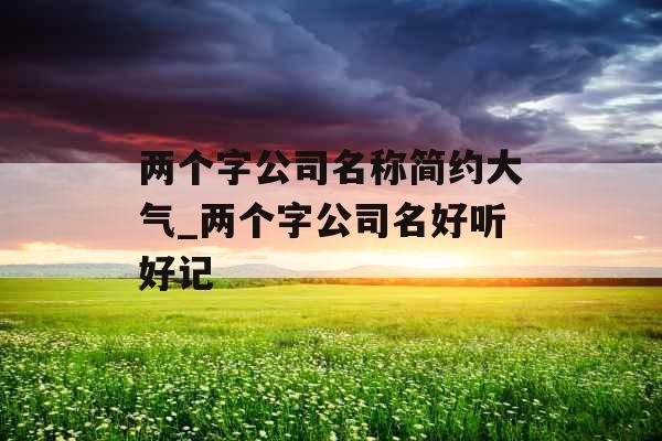 两个字公司名称简约大气_两个字公司名好听好记