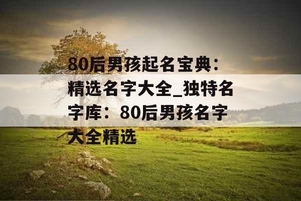 80后男孩起名宝典：精选名字大全_独特名字库：80后男孩名字大全精选