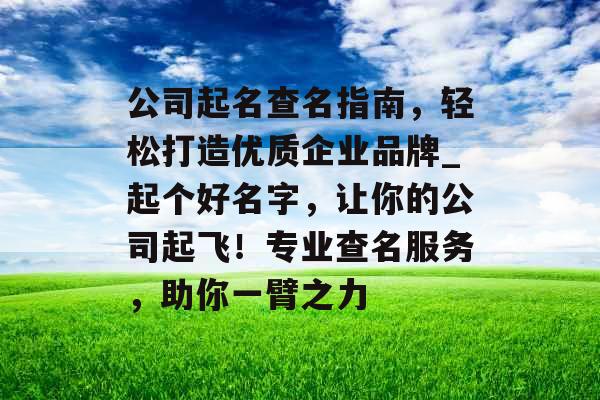 公司起名查名指南，轻松打造优质企业品牌_起个好名字，让你的公司起飞！专业查名服务，助你一臂之力