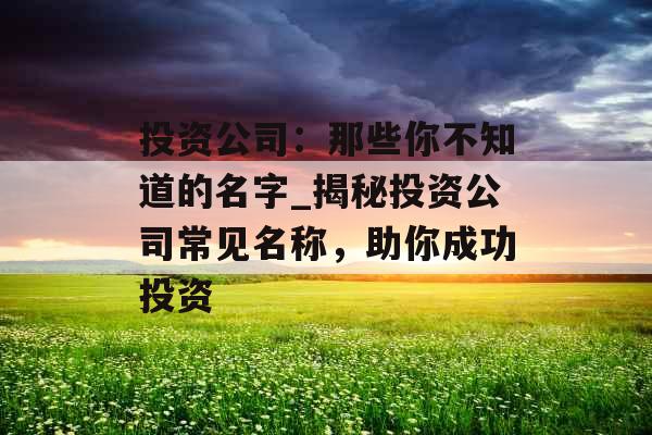 投资公司：那些你不知道的名字_揭秘投资公司常见名称，助你成功投资