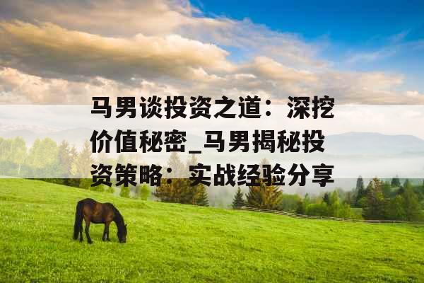马男谈投资之道：深挖价值秘密_马男揭秘投资策略：实战经验分享
