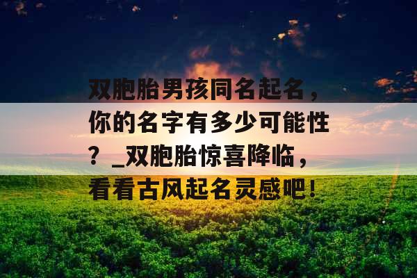 双胞胎男孩同名起名,你的名字有多少可能性?_双胞胎惊喜降临,看看古风起名灵感吧! 双胞胎男孩同名起名,你的名字有多少可能性?_双胞胎惊喜降临,看看古风起名灵感吧!