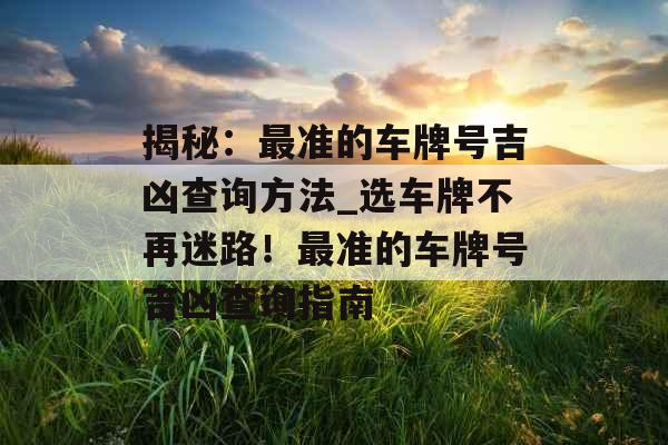 揭秘：最准的车牌号吉凶查询方法_选车牌不再迷路！最准的车牌号吉凶查询指南