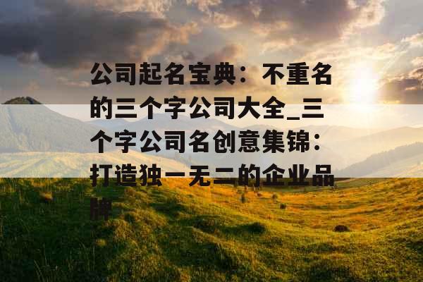 公司起名宝典：不重名的三个字公司大全_三个字公司名创意集锦：打造独一无二的企业品牌