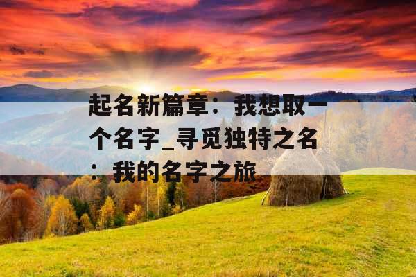 起名新篇章：我想取一个名字_寻觅独特之名：我的名字之旅