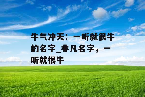 牛气冲天：一听就很牛的名字_非凡名字，一听就很牛