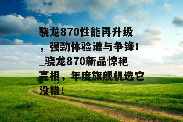 骁龙870性能再升级，强劲体验谁与争锋！_骁龙870新品惊艳亮相，年度旗舰机选它没错！