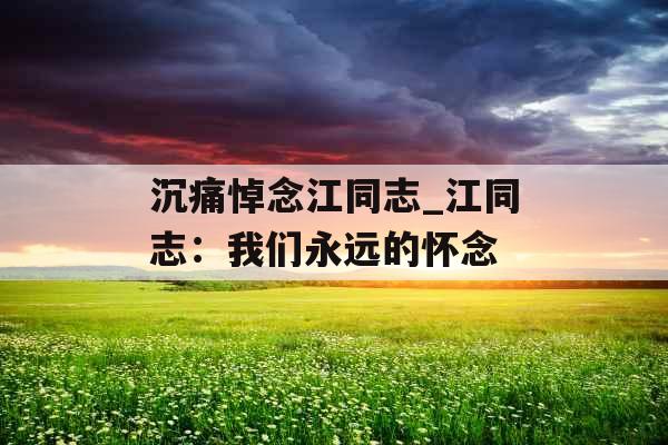 沉痛悼念江同志_江同志：我们永远的怀念