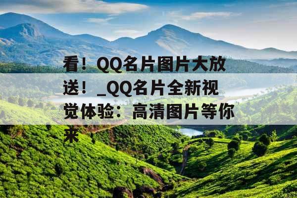 看！QQ名片图片大放送！_QQ名片全新视觉体验：高清图片等你来