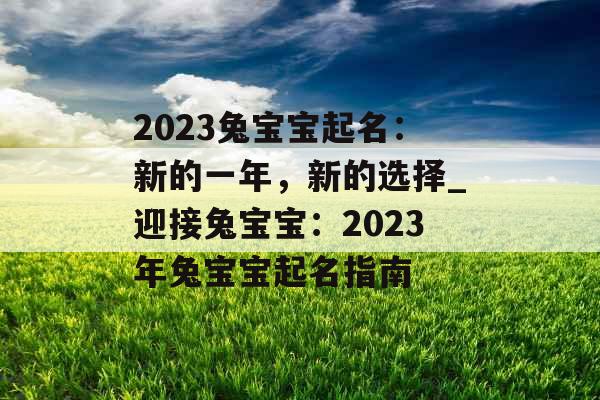 2023兔宝宝起名：新的一年，新的选择_迎接兔宝宝：2023年兔宝宝起名指南