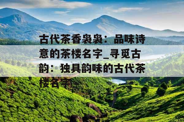 古代茶香袅袅:品味诗意的茶楼名字_寻觅古韵:独具韵味的古代茶楼名字 古代茶香袅袅:品味诗意的茶楼名字_寻觅古韵:独具韵味的古代茶楼名字