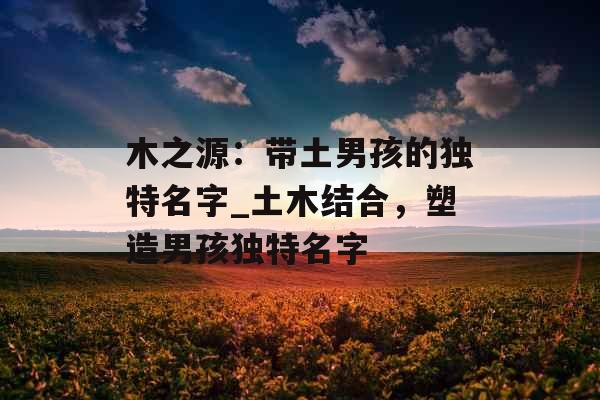 木之源：带土男孩的独特名字_土木结合，塑造男孩独特名字