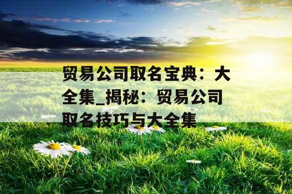 贸易公司取名宝典:大全集_揭秘:贸易公司取名技巧与大全集 贸易公司取名宝典:大全集_揭秘:贸易公司取名技巧与大全集