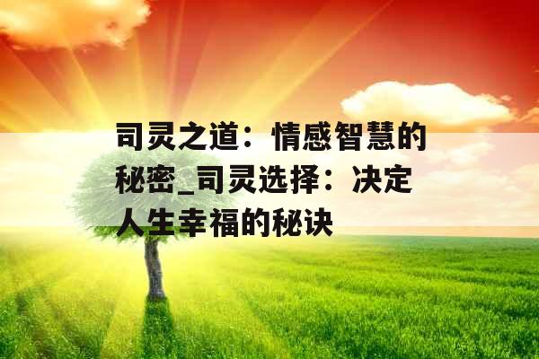 司灵之道：情感智慧的秘密_司灵选择：决定人生幸福的秘诀