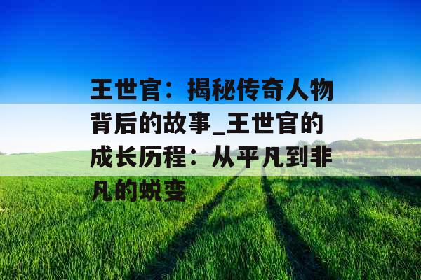 王世官：揭秘传奇人物背后的故事_王世官的成长历程：从平凡到非凡的蜕变