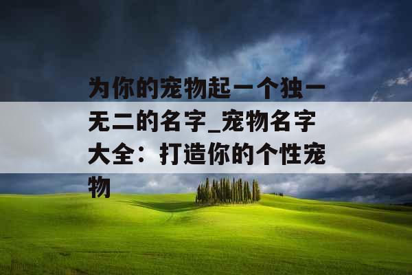 为你的宠物起一个独一无二的名字_宠物名字大全：打造你的个性宠物