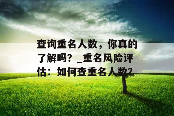 查询重名人数，你真的了解吗？_重名风险评估：如何查重名人数？