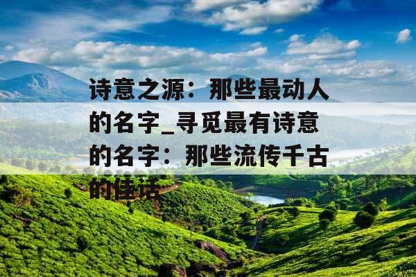 诗意之源：那些最动人的名字_寻觅最有诗意的名字：那些流传千古的佳话