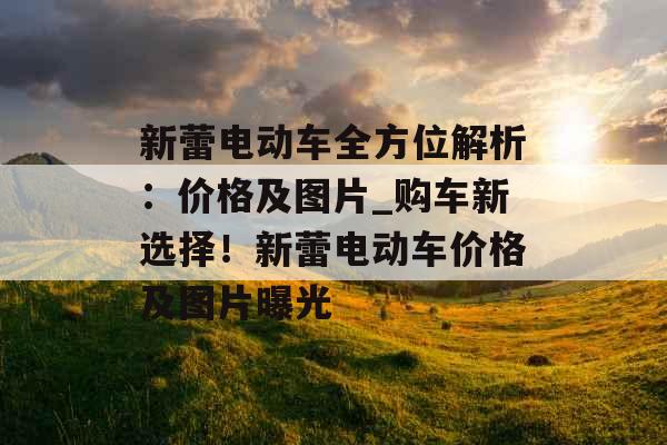 新蕾电动车全方位解析:价格及图片_购车新选择!新蕾电动车价格及图片曝光 新蕾电动车全方位解析:价格及图片_购车新选择!新蕾电动车价格及图片曝光
