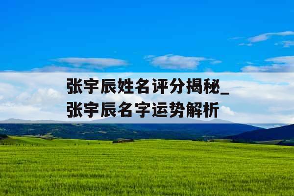 张宇辰姓名评分揭秘_张宇辰名字运势解析