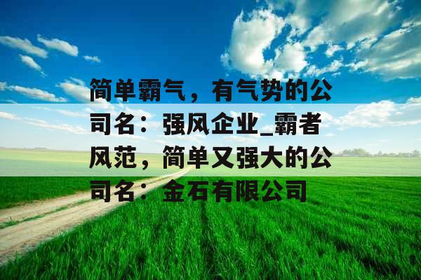 简单霸气，有气势的公司名：强风企业_霸者风范，简单又强大的公司名：金石有限公司