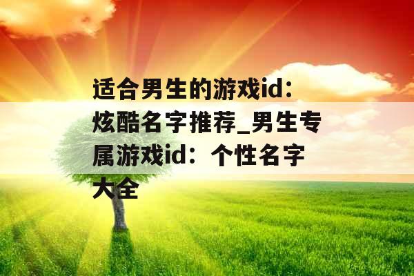 适合男生的游戏id：炫酷名字推荐_男生专属游戏id：个性名字大全