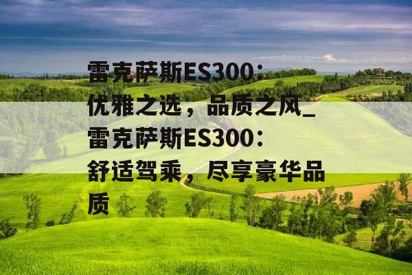 雷克萨斯ES300：优雅之选，品质之风_雷克萨斯ES300：舒适驾乘，尽享豪华品质