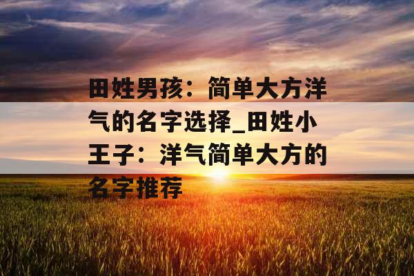 田姓男孩：简单大方洋气的名字选择_田姓小王子：洋气简单大方的名字推荐
