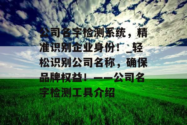 公司名字检测系统，精准识别企业身份！_轻松识别公司名称，确保品牌权益！——公司名字检测工具介绍