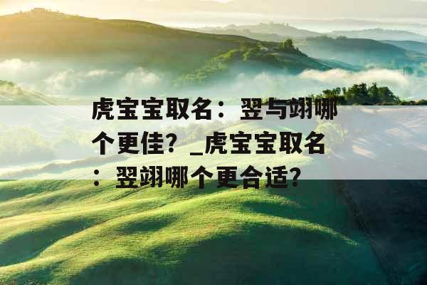 虎宝宝取名：翌与翊哪个更佳？_虎宝宝取名：翌翊哪个更合适？