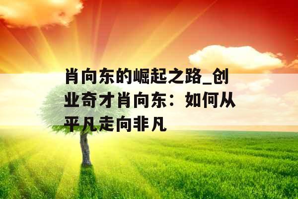 肖向东的崛起之路_创业奇才肖向东：如何从平凡走向非凡