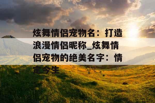 炫舞情侣宠物名：打造浪漫情侣昵称_炫舞情侣宠物的绝美名字：情定今生