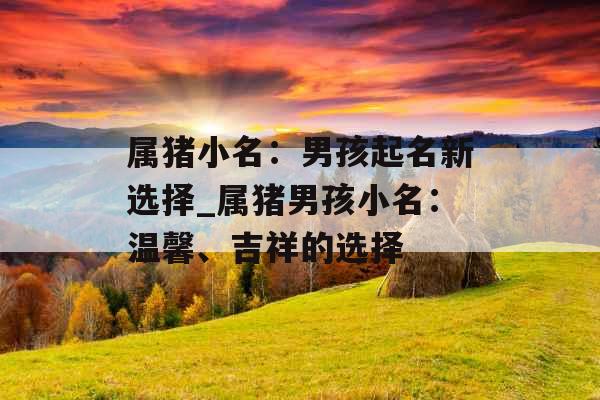 属猪小名:男孩起名新选择_属猪男孩小名:温馨、吉祥的选择 属猪小名:男孩起名新选择_属猪男孩小名:温馨、吉祥的选择