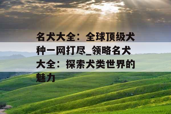 名犬大全:全球顶级犬种一网打尽_领略名犬大全:探索犬类世界的魅力 名犬大全:全球顶级犬种一网打尽_领略名犬大全:探索犬类世界的魅力