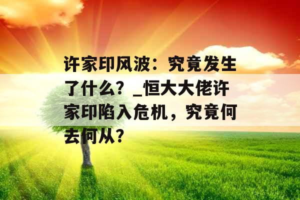 许家印风波：究竟发生了什么？_恒大大佬许家印陷入危机，究竟何去何从？