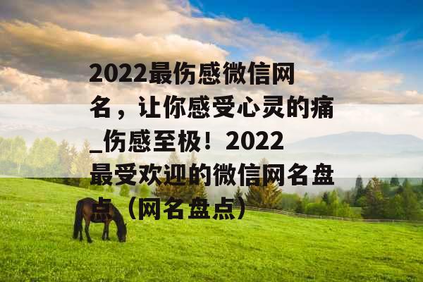 2022最伤感微信网名，让你感受心灵的痛_伤感至极！2022最受欢迎的微信网名盘点（网名盘点）