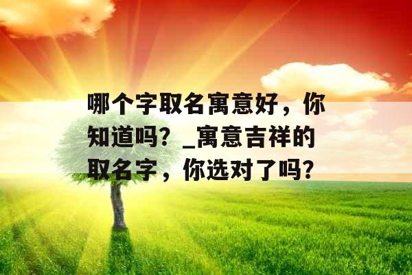 哪个字取名寓意好，你知道吗？_寓意吉祥的取名字，你选对了吗？